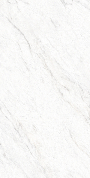 Керамогранит GI8009-B Lazio Bianco Matt Glossy Ink Punch 60x120 Arcadia Ceramica