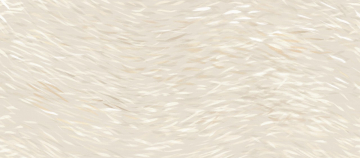 Керамогранит HDUD Vest Decoro Breath 6mm 120x278 Atlas Concorde