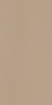 Керамогранит ICON BEIGE 12L 60x120 LEONARDO 1502