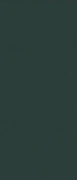 Керамогранит JS6026M Posidonia Green Text 120x280 Janye Slab