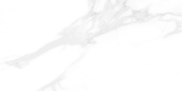 Керамогранит К12507 Statuario Bianco Matt 60x120 EVOtile