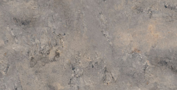 Керамогранит Кер гр ARDESIA GRIS 32x62.5 Gayafores