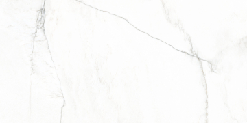 Керамогранит Lab Bianco Mare Matt Satin 60x120 Prissmacer
