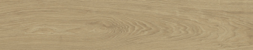 Керамогранит Lionel Haya Matt Rect 23x120 STN Ceramica