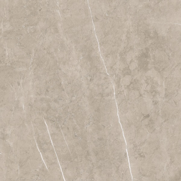 Керамогранит Lyon 9535 Vison 5059 Rectificado 50x50 Porcelanite Dos