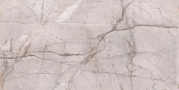 Керамогранит Marble Dragon Grey Polished 60x120 Alpas Euro