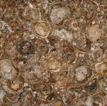 Керамогранит MC-SP09 Petrified Wood (Round) (Compound With Granit) 100x100 Marmocer