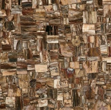Керамогранит MC-SP10 Petrified Wood (Party) (Compound With Granit) 100x100 Marmocer
