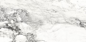 Керамогранит Medicea Marble Pol 60x120 Alpas Euro