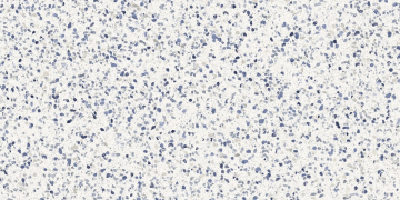 Керамогранит MN13 Frammento Macro Azzurro R10 RT 60x120 MARAZZI Italy
