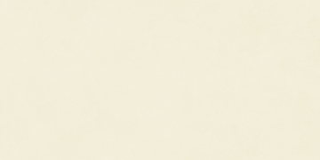 Керамогранит N12035 Blossom Salix Matt 60x120 Neodom