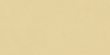 Керамогранит N12037 Blossom Sun Matt 60x120 Neodom