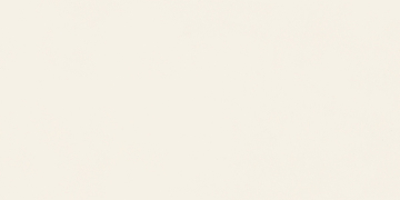 Керамогранит N12041 Blossom Pure Matt 60x120 Neodom