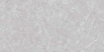 Керамогранит N20436 Tokyo Grey Matt 60x120 Neodom