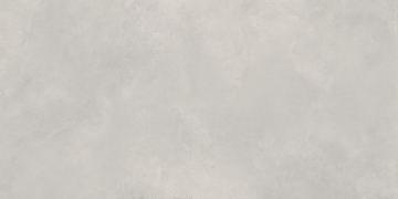 Керамогранит N20478 Newport Gris Matt 60x120 Neodom