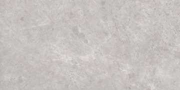 Керамогранит N20488 Tokyo Grey Polished 80x160 Neodom