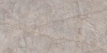 Керамогранит N20553 Silver River Carving 60x120 Neodom