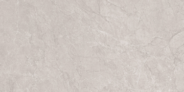 Керамогранит N20555 Aristo Grey Tm 60x120 Neodom