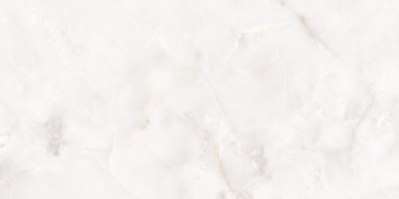Керамогранит N20577 Classo Onyx Polished 60x120 Neodom