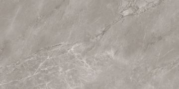 Керамогранит N20645 Stone Artistic Carving 80x160 Neodom