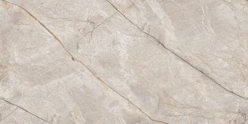 Керамогранит N80016 Silver Stone Carving 60x120 Neodom