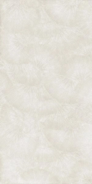 Керамогранит Natural Resine Decoro Ventaglio Platino 60х120 La Fenice