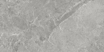 Керамогранит NATURAL SILVER 50x100 Kerlite