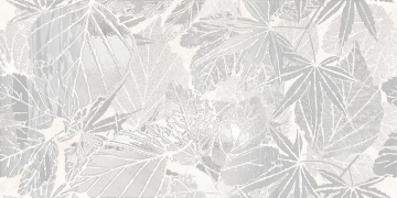 Керамогранит NAW Декор Istinkto Natural White 60x120 Brennero