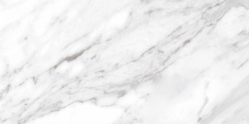 Керамогранит North Gloss White 49.1x98.2 Ceracasa