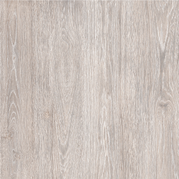 Керамогранит NR0380 KeraForest коричневый светлый 60x60 ProGRES Ceramica