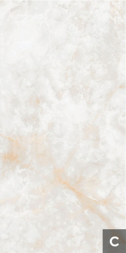 Керамогранит NTT3019P (C) Li Susu Dragon 120x240 NT Ceramic