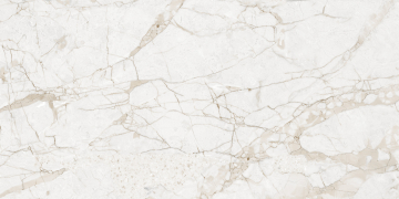 Керамогранит NTT99519M Impero Grey Carving 60x120 NT Ceramic
