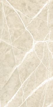 Керамогранит NTT99619PC Granite Wisdom Stone Punch Carving 60x120 NT Ceramic