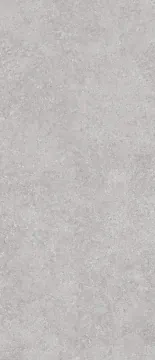 Керамогранит Onega Grey Xylotech Matt 2780х1200х6 StaroSlabs