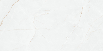 Керамогранит P8AA0LNAA0H1SO Anil White Polished Rect 60х120 Goldis Tile
