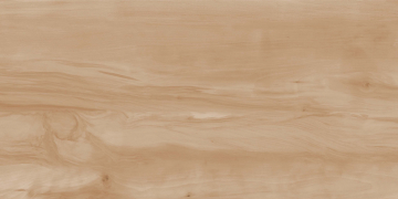 Керамогранит Paint Wood Bone Gloss 60x120 Realistik