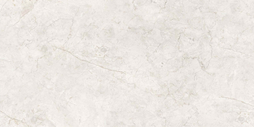 Керамогранит Panama Silver Carving 60х120 Embito Granito