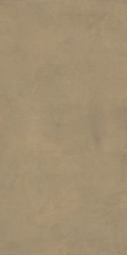 Керамогранит PF60006160 LUCE ORO RET 60X120 Ariana
