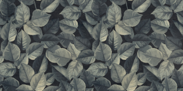 Керамогранит PF60008438 Foliage Ret 60x120 ABK
