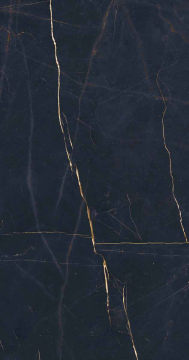 Керамогранит PF60011003 Precious Black Lux Ret 60x120 ABK