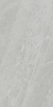 Керамогранит PL612498 Gris De Savoie Lucidato 60x120 Ariostea
