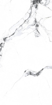 Керамогранит PR222 Videl Bianco polished 600x1200x9 PrimaVera