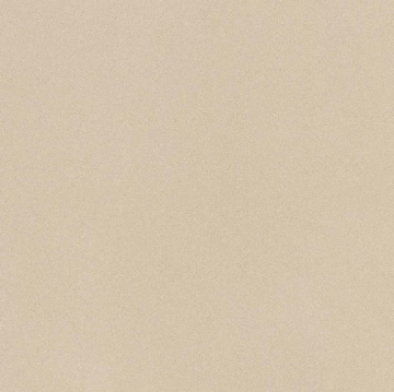 Керамогранит PRTU 60A RM PARADE 60x60 Imola Ceramica