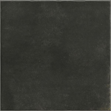Керамогранит PT03421 Nostalgy Black 20x20 Mainzu