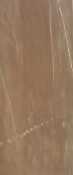 Керамогранит Pulpis Sand Glossy 60*120 Art Ceramic