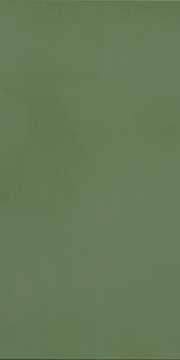 Керамогранит R-Evolution Green 36SC R10 60x120 Casalgrande Padana