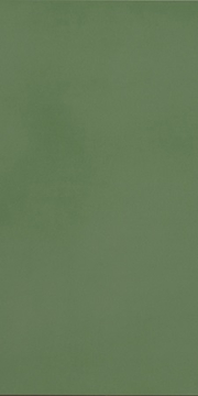 Керамогранит R-Evolution Green 9mm 60x120 Casalgrande Padana