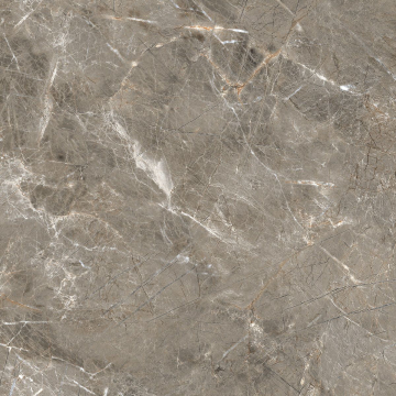 Керамогранит R_PR1023 Olympia Grey Polished 60x60 Royce