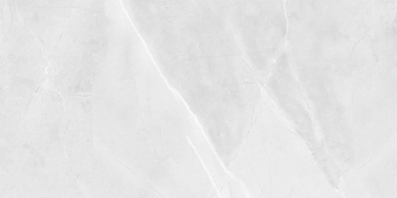 Керамогранит R_PR2015 Floris Bianco Polished 60x120 Royce