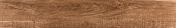 Керамогранит RAGUSA UMBER 20x120 TAU Ceramica